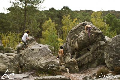 "Orange Circuit" (4)